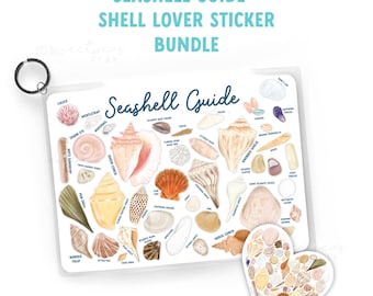 Seashell Identification Guide Bundle: East Coast Beach Finds with Key Ring Waterproof