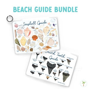 Beach Guide Bundle: Shark Tooth & Seashell Identification - Waterproof