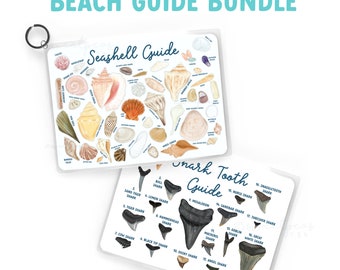 Beach Guide Bundle: Shark Tooth & Seashell Identification - Waterproof