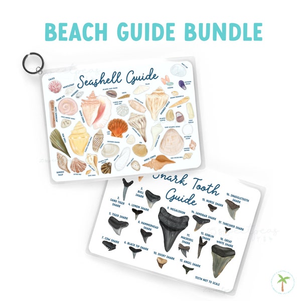 Beach Guide Bundle, Shark Tooth Fossil Guide, Seashell Reference Guide, Beach Guide, Waterproof Guide, Beach Lover Gift