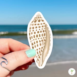 May include: A die-cut sticker featuring a tall, slender seashell with a pointed apex and a smooth, elongated aperture. The shell surface displays a repeating pattern of tan, rectangular markings arranged in vertical rows against a cream base.
