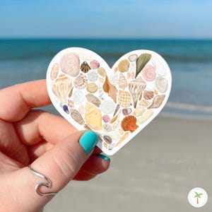 May include: A heart-shaped sticker featuring a collage of various seashells in shades of white, tan, brown, and orange. The shells are arranged to form a heart silhouette, showcasing diverse textures, spiral patterns, and smooth surfaces.