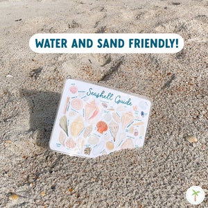 Our Seashell guide is fully sealed and laminated, it will be perfect to take to the beach as its water and sand friendly. Just wipe water and sand off and get back to Identifying your finds