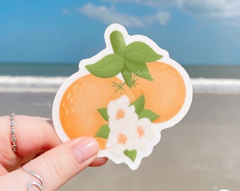 Oranges Sticker , Citrus Sticker , Fruit Sticker , Matte Clear Weatherproof , gift idea , Tropical Sticker , Travel Sticker