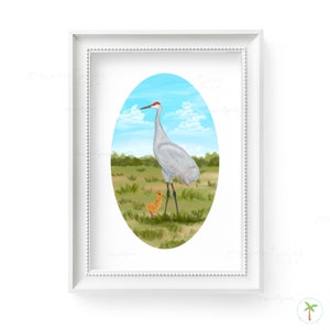 Sandhill Crane Painting Print, Illustrated Coastal Bird, Coastal Decor Wall Art