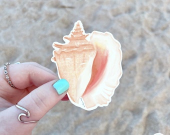 Queen Conch Shell Sticker: Weatherproof Seashell Decal