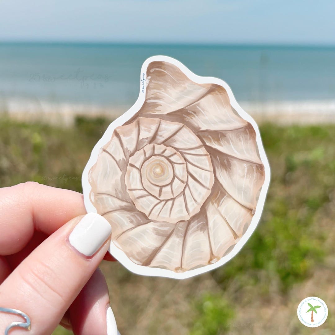 Shell Sticker Beige Whelk Shell Top Sticker: Weatherproof Seashell Decal - Etsy