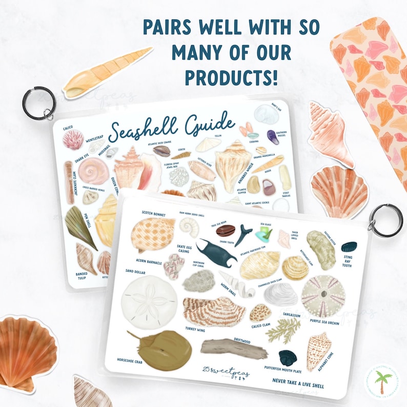 Shell Guide Washington Seashell Identification Guide: Waterproof Shell Guide, Beach Lover Gift ...