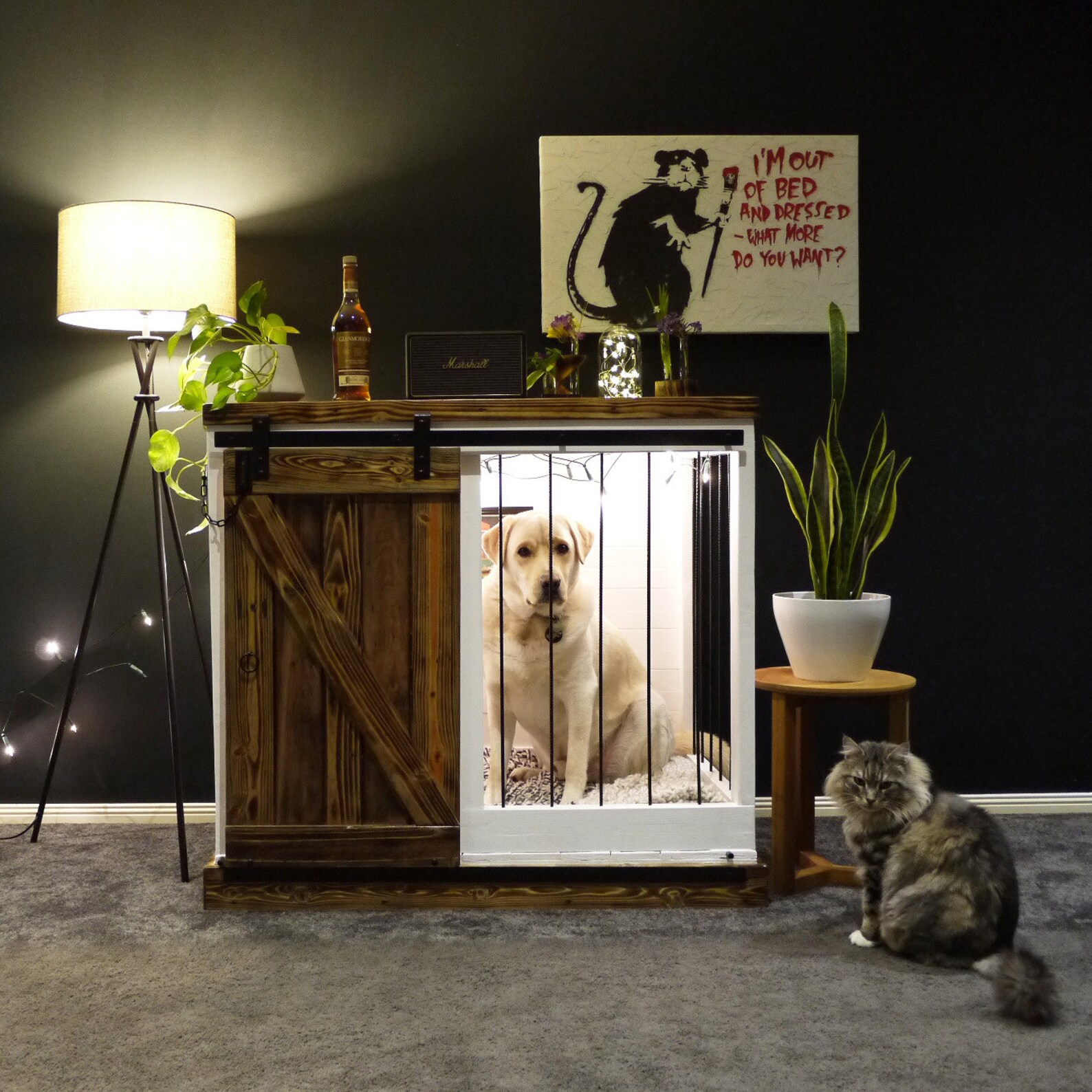 Where To Get A Wooden Dog Bed Dogs of Australia