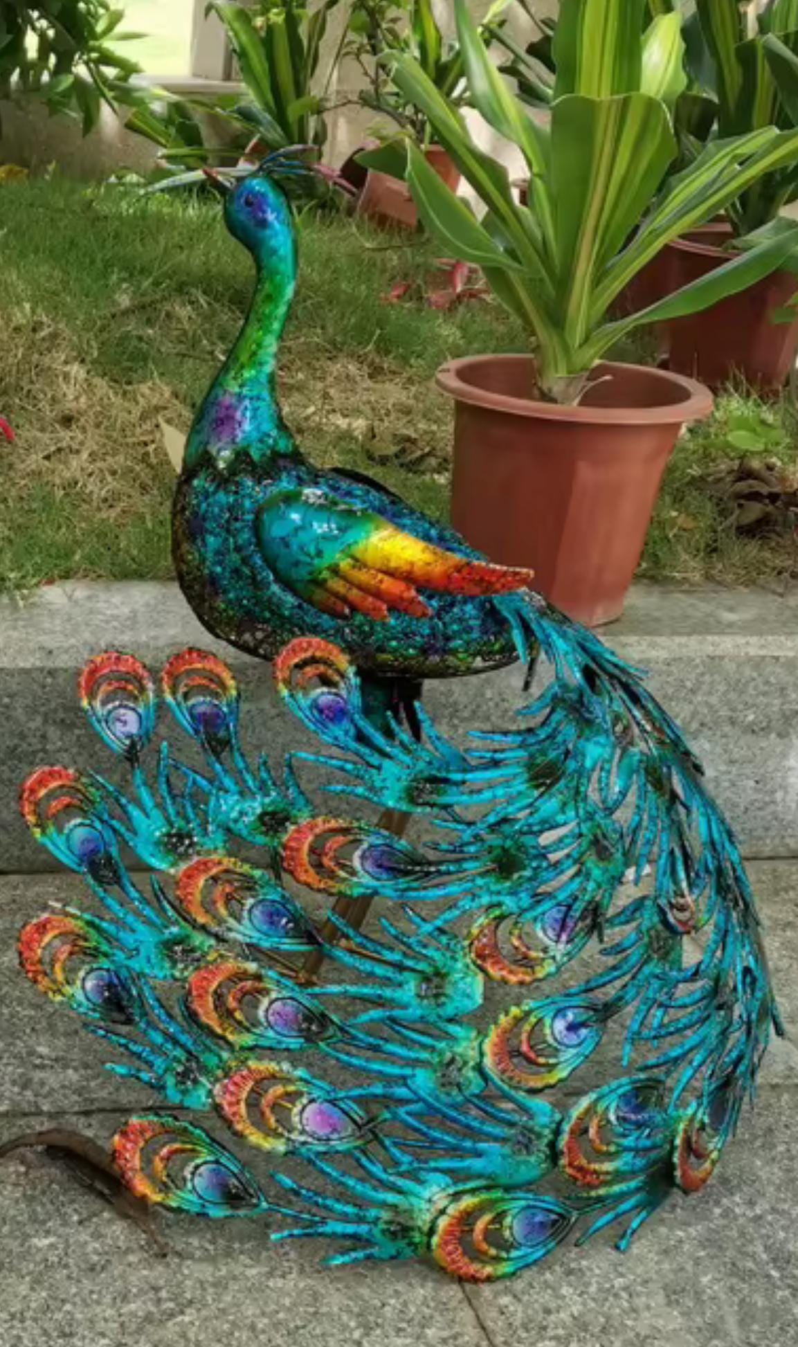 Vibrant Peacock-back Head or Front Head Outdoor Garden Decor - Etsy