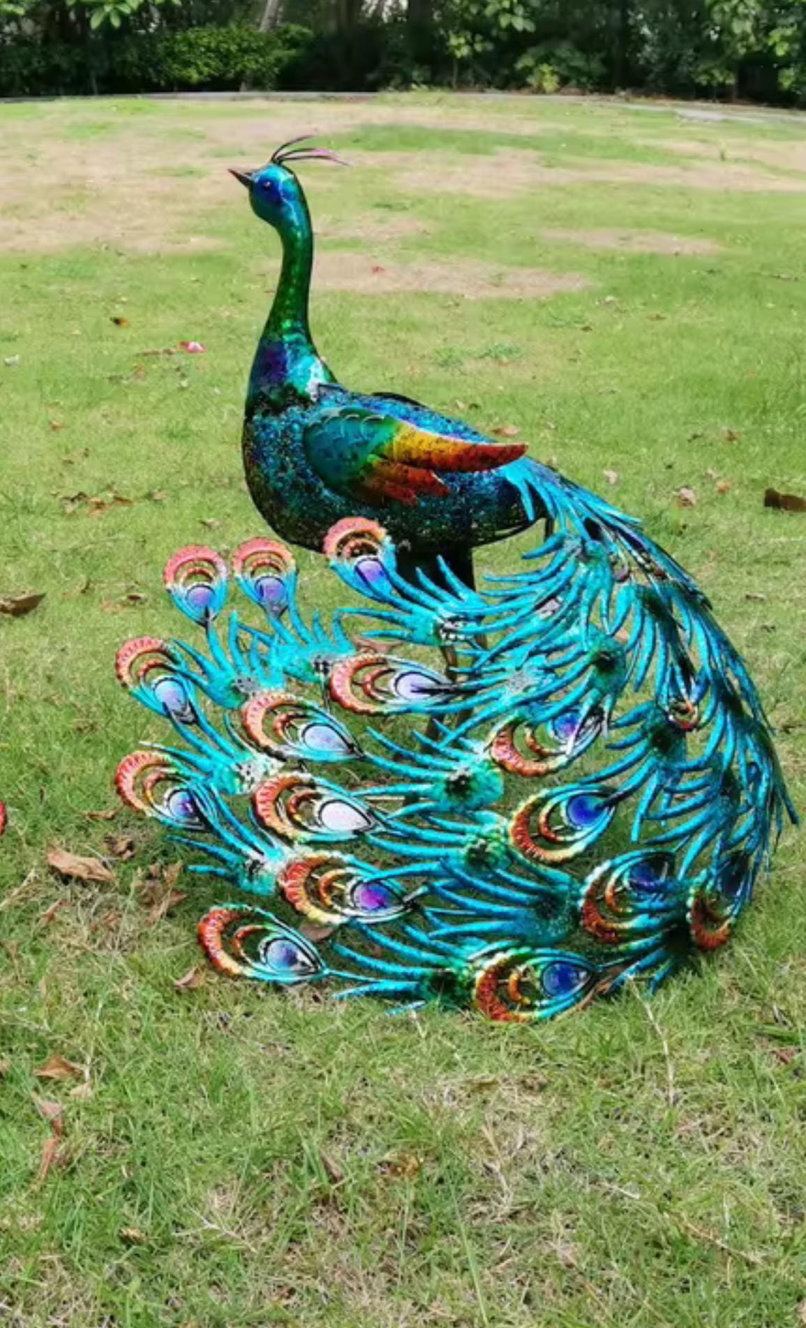 Vibrant Peacock-back Head or Front Head Outdoor Garden Decor - Etsy
