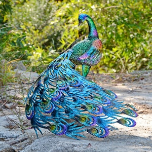 Vibrant peacock-Back head or Front head Outdoor Garden Decor