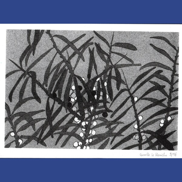 A5, riso print, Sea buckthorn plant