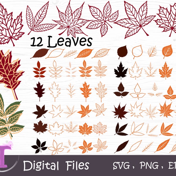 Leaves SVG bundle, Layer leaves, Autumn leaves, Leaf outline, Fall leaves svg, Leaf png, spring Leaf, Svg digital download