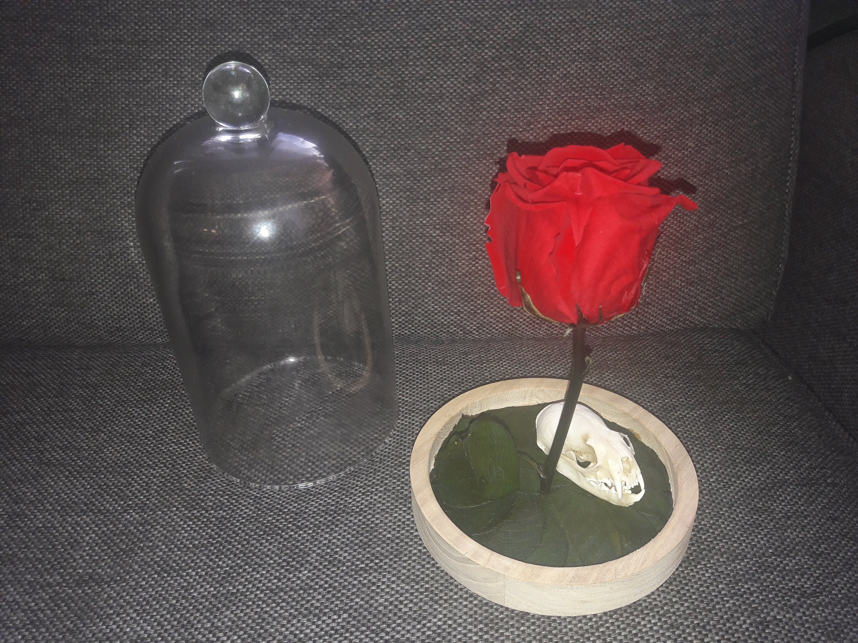 Cloche Crâne de Vison et Rose Éternelle/Mink Skull & Eternal Rose Bell