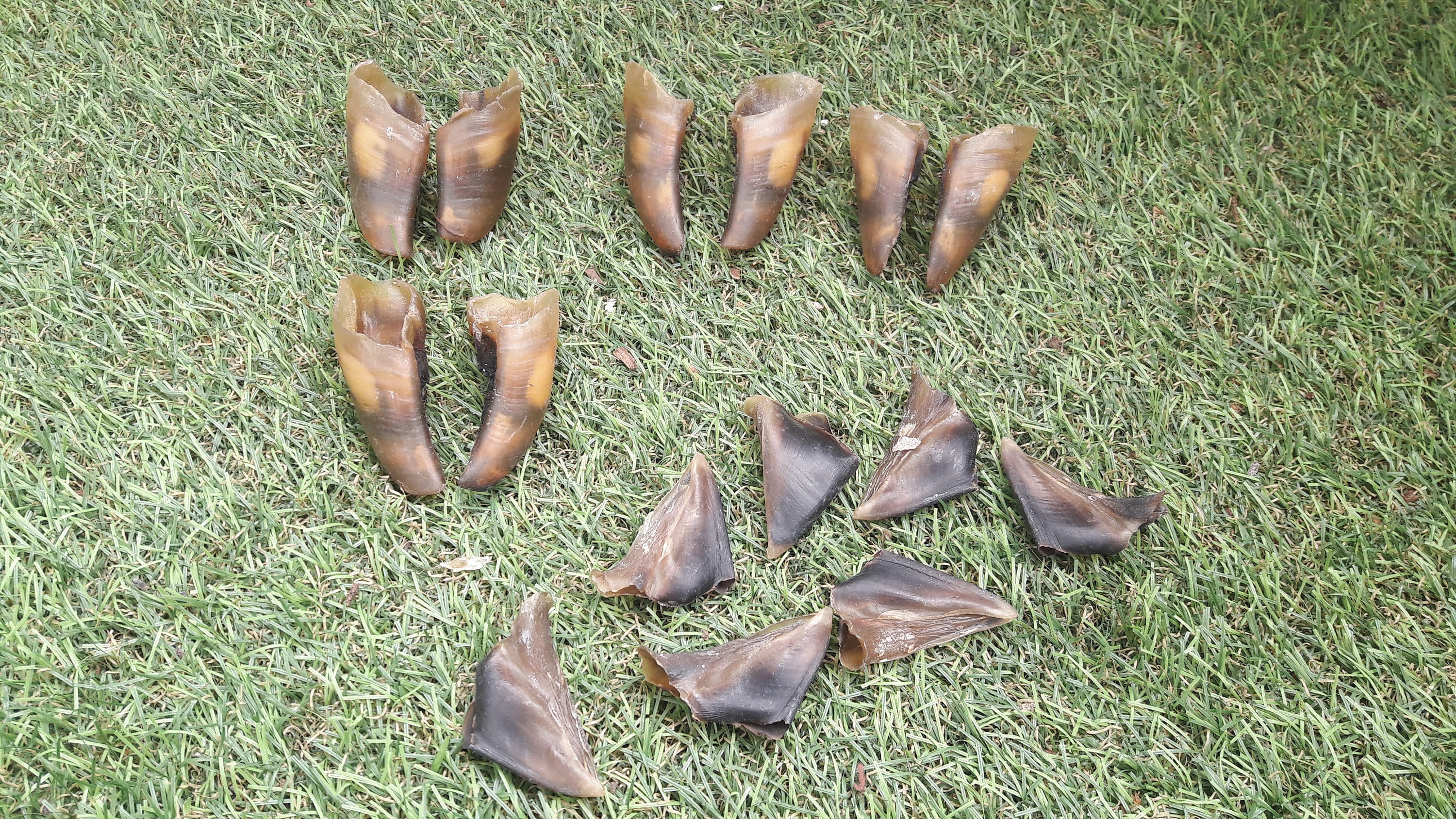 Lot de Sabot ; Mouton/Chevreuil