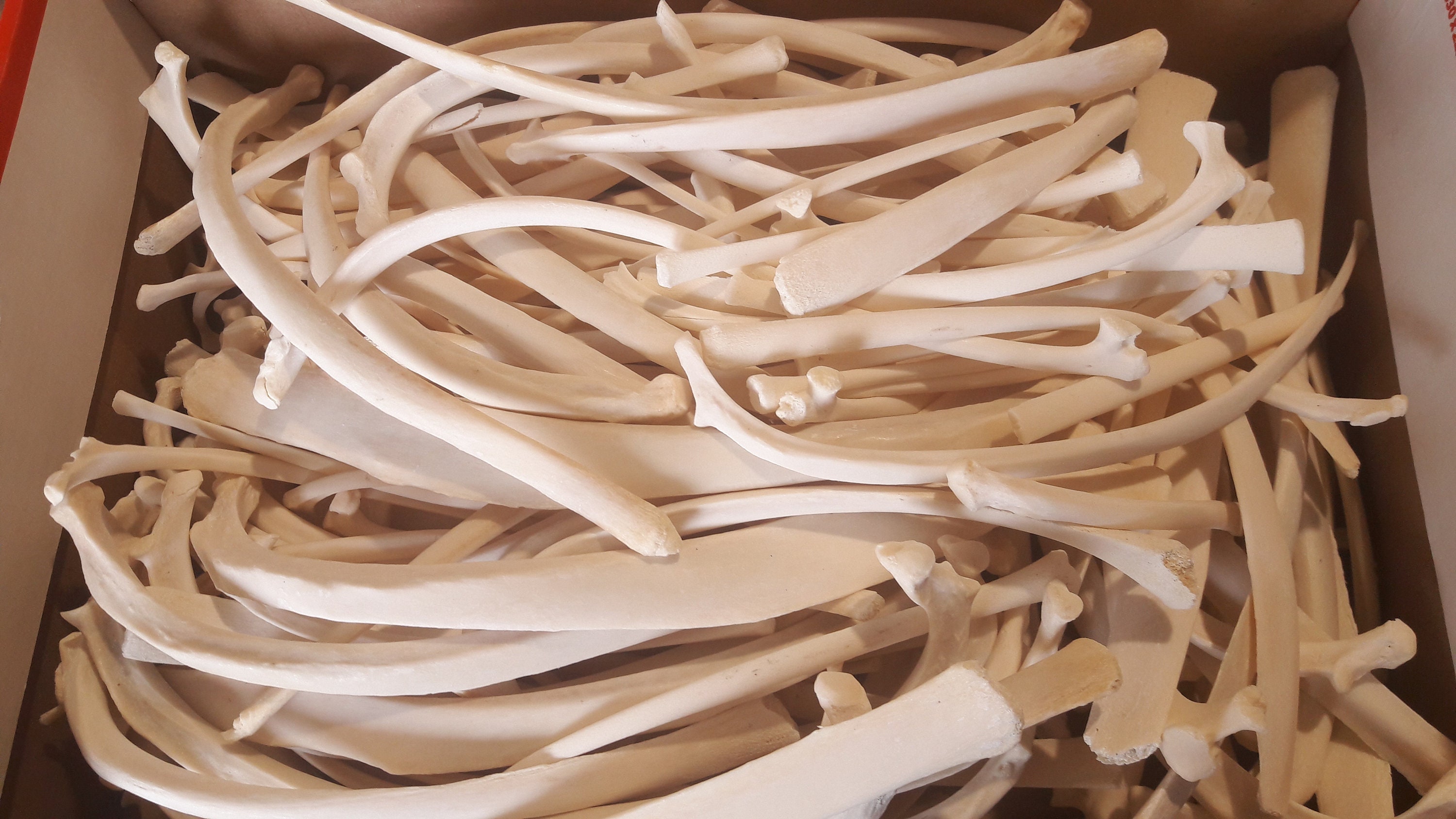 Lot de Côtes | Pour 10 Unités Mouton Principalement