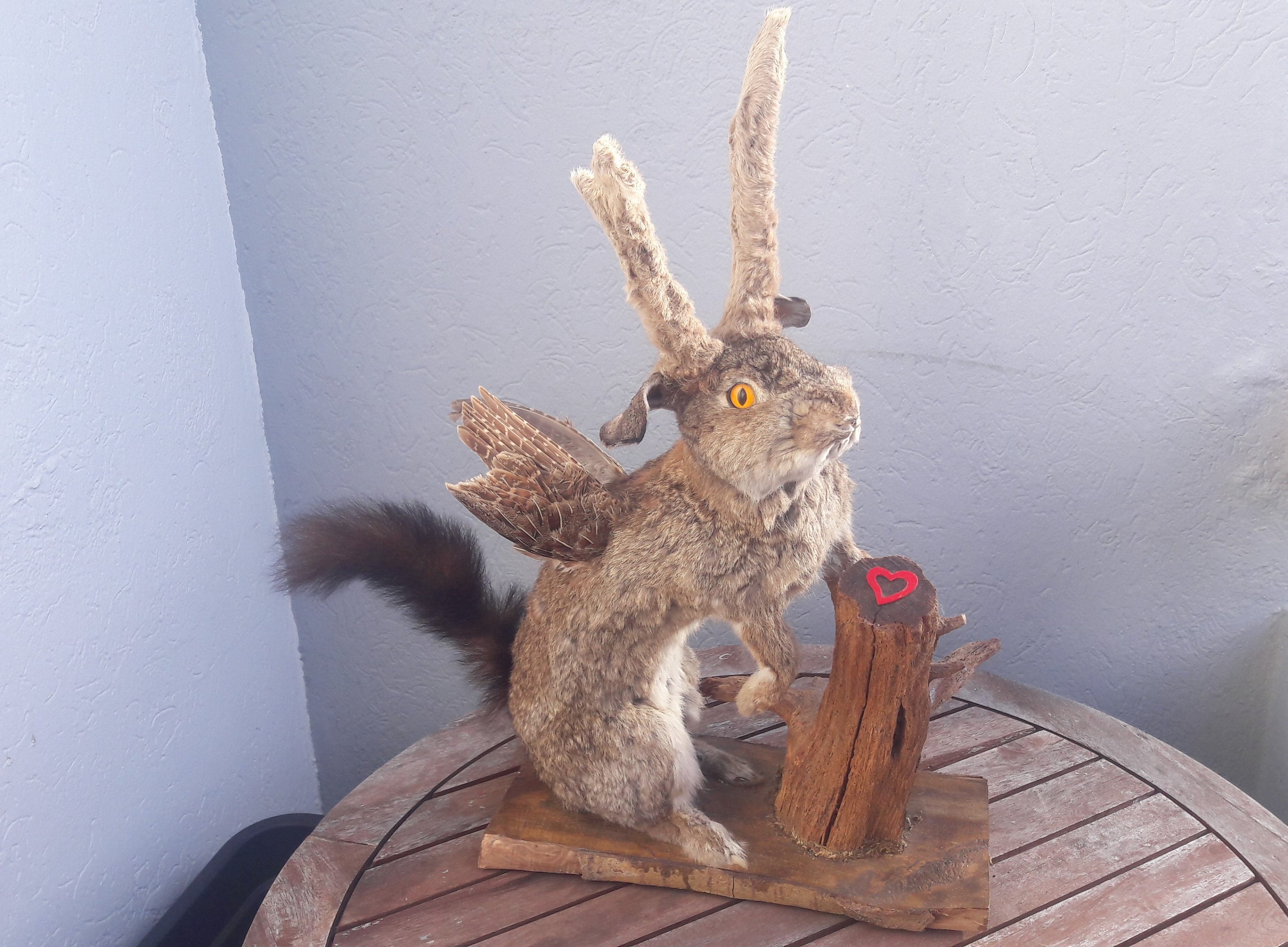 Taxidermie Jackalope/Wolpertinger