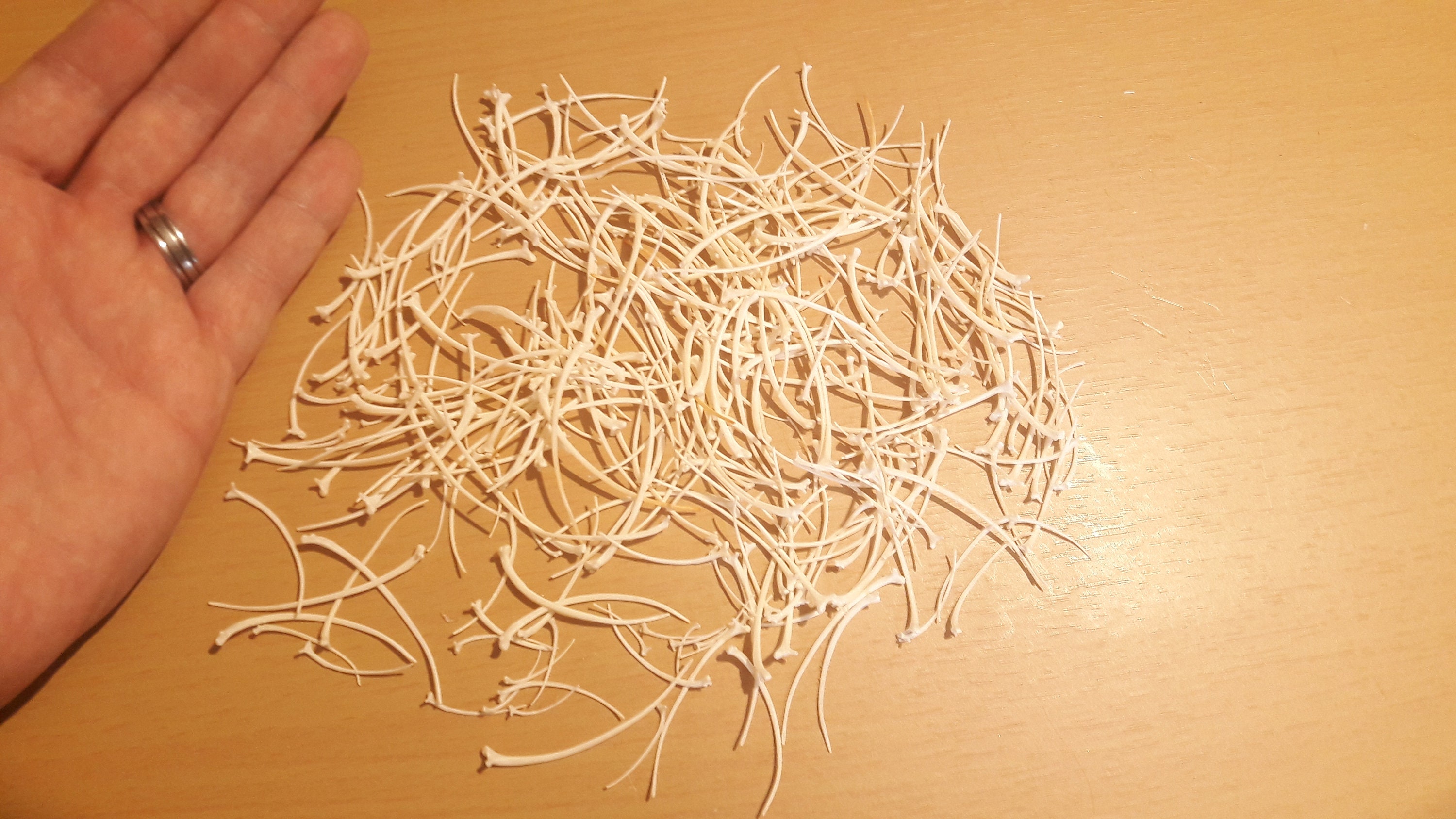 Lot de Côtes Serpent