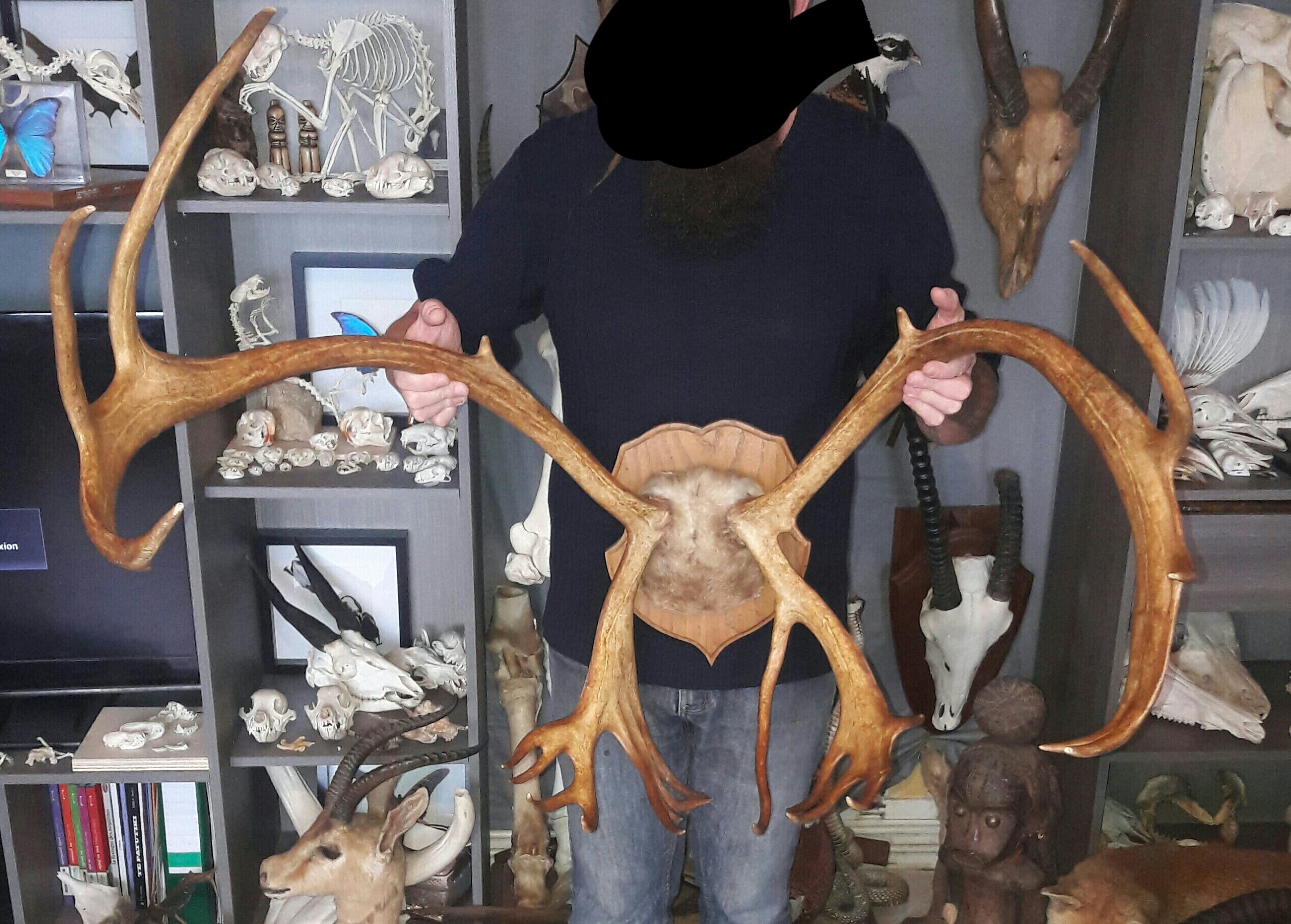 Trophée de Renne/Reindeer Trophy