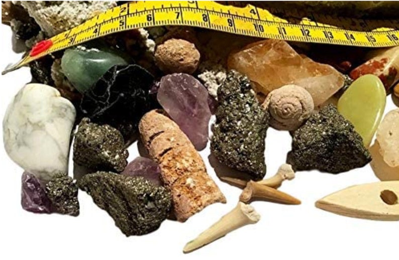 mega fossil kit