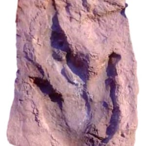 Puede incluir: Primer plano de una roca púrpura y marrón con una profunda impresión en el centro. La roca tiene una superficie rugosa y texturizada.