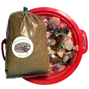 Puede incluir: Una bolsa de plástico transparente llena de arena marrón, junto a una bandeja de plástico roja con un fondo de malla lleno de piedras preciosas de colores. La bolsa tiene una etiqueta que dice "Dinosaurs Rock.com" y "Dinosaurs Rock" con un logotipo de esqueleto de dinosaurio.