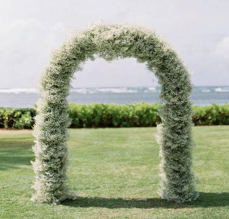 May include: A white flower archway made of baby's breath flowers. The archway is set up outdoors on a grassy lawn with a view of the ocean in the background.