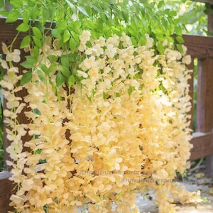 Champagne Lemon Wisteria Flower Vine 12Pcs Fake Wisteria Flowers Garland Leaves, Artificial Hanging Flower Wisteria Home Decor Wedding Arch