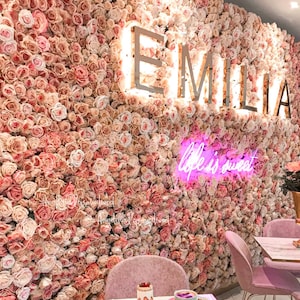 Parete floreale con rose dolci pastello, regalo per anniversario di matrimonio, sfondo con rose per feste al buio, pannello floreale con luci al neon personalizzate, concerto di stelle al neon