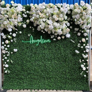Parete d'erba verde con rosa avorio, parete floreale con sfondo floreale e pannello floreale.