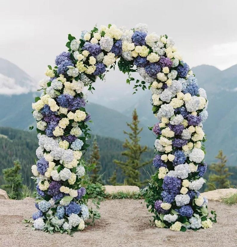 May include: A wedding arch decorated with white and blue hydrangeas and greenery. The arch is set up outdoors in front of a mountain range.