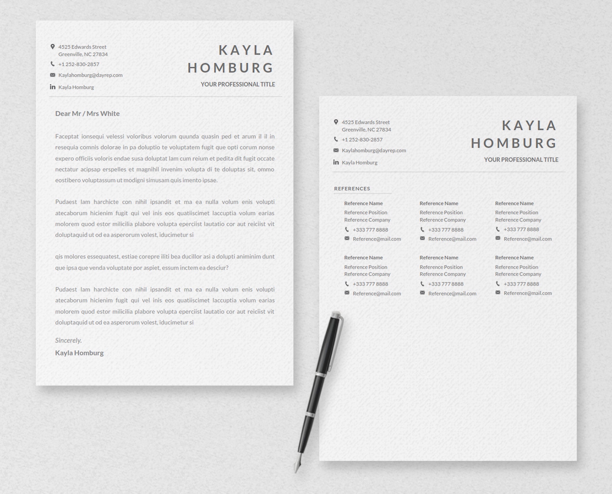 Google Docs Resume Template : Modern Resume Format for Microsoft Word ...