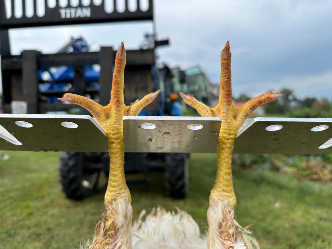Chicken Hanger Rack for Backyard Meat Processing, 6 Bird Capacity - Etsy