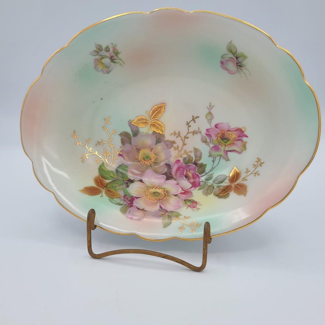 Bavaria Schumann Arzberg Germany Wild Rose Blush Oval Serving Bowl With ...