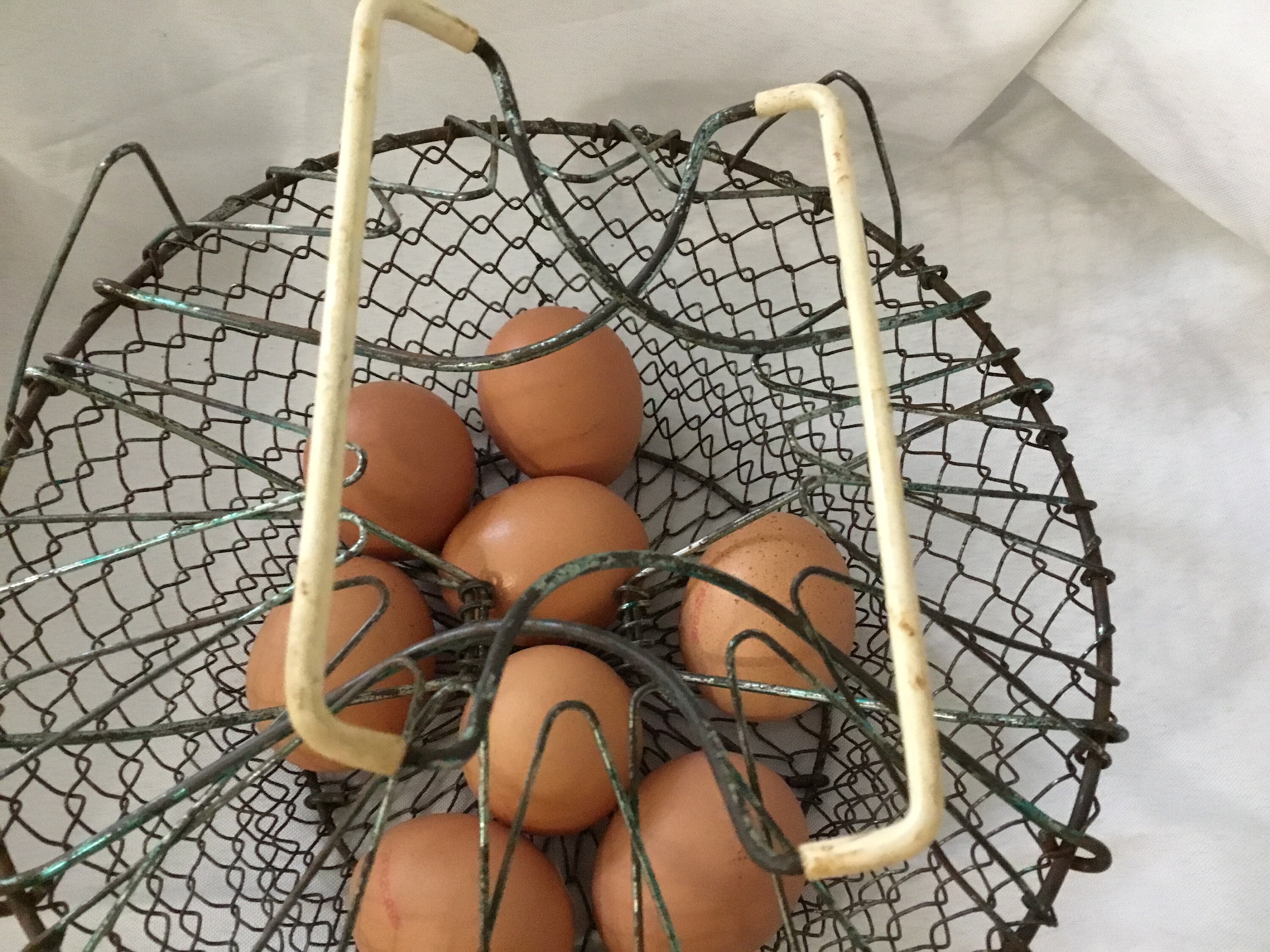 Vintage French metal collapsible Egg basket Egg gathering Etsy