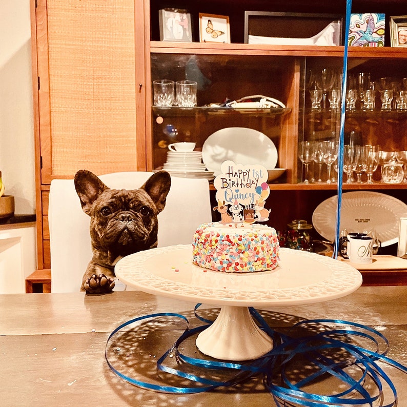 Dog Birthday Cake Peanut Butter Cake Dog Pawty Birthday Etsy