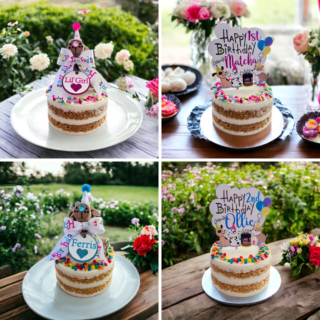 Sprinkle Birthday Cake for Dogs Peanut Butter Cake Dog Pawty Birthday