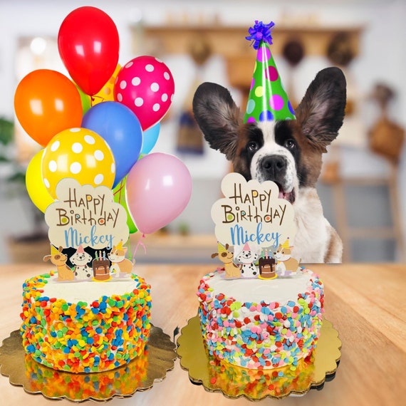 Pastel de cumpleaños para perros / Pastel de mantequilla de - Etsy México