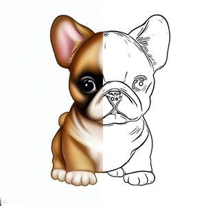 Instant Download of Coloring Pages for Children of animal prints