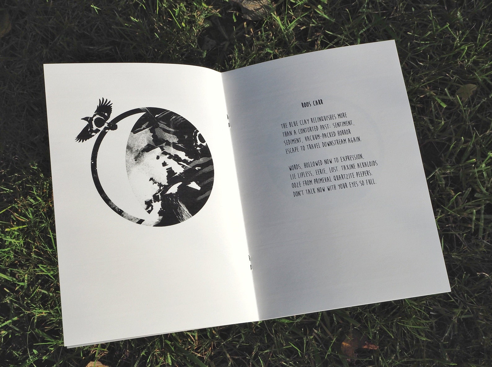 Crow's Wood Poetry Pamphlet Etsy