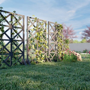 Trellis plans 3 6 x 6 10 / step-by-step instructions, digital download, PDF format image 3