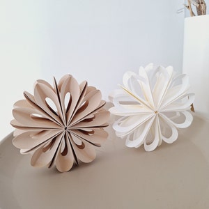 Papierblumen 3D / 2er-Set / D 12cm / Farben: weiß, beige / l Bild 6