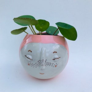 Kindface bud vase planter for wall