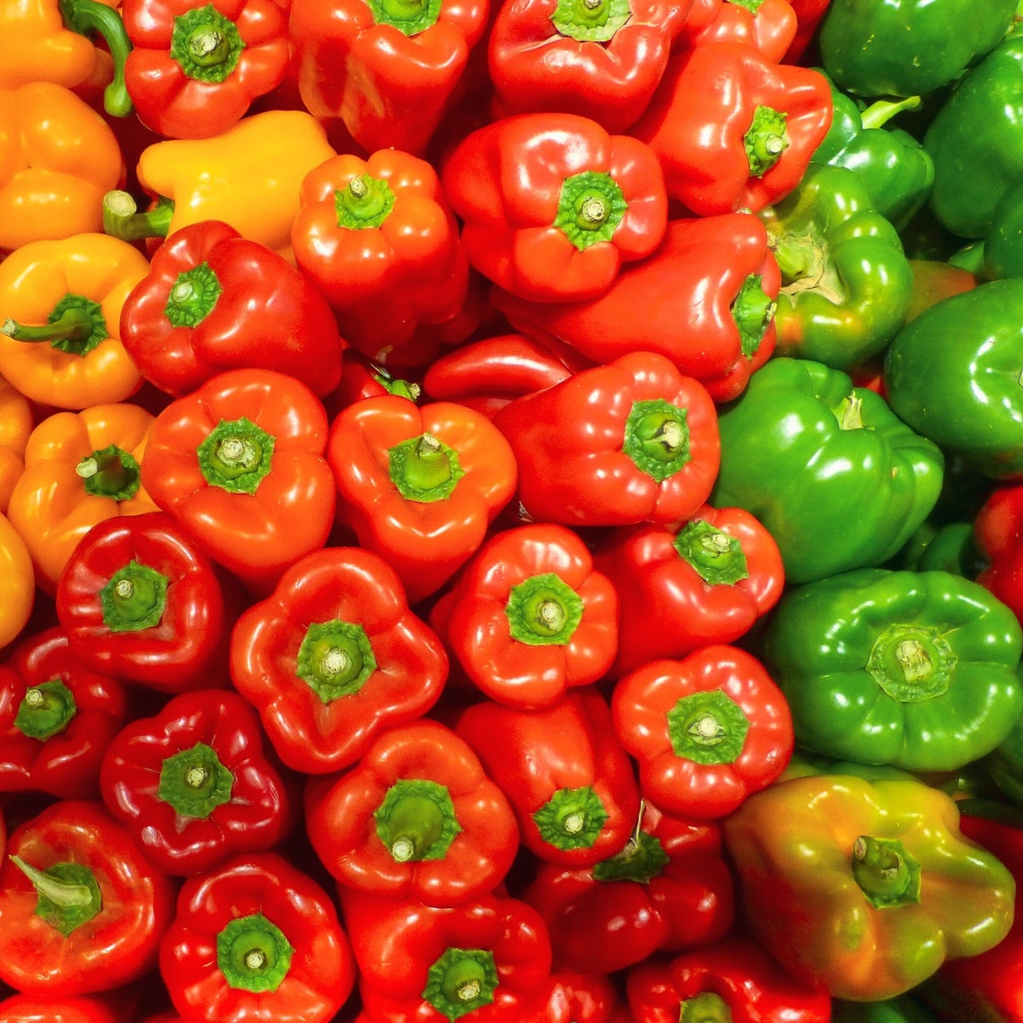 Organic Fresh Sweet Bell Pepper Vegetable Fruit Seeds 45 Per Etsy