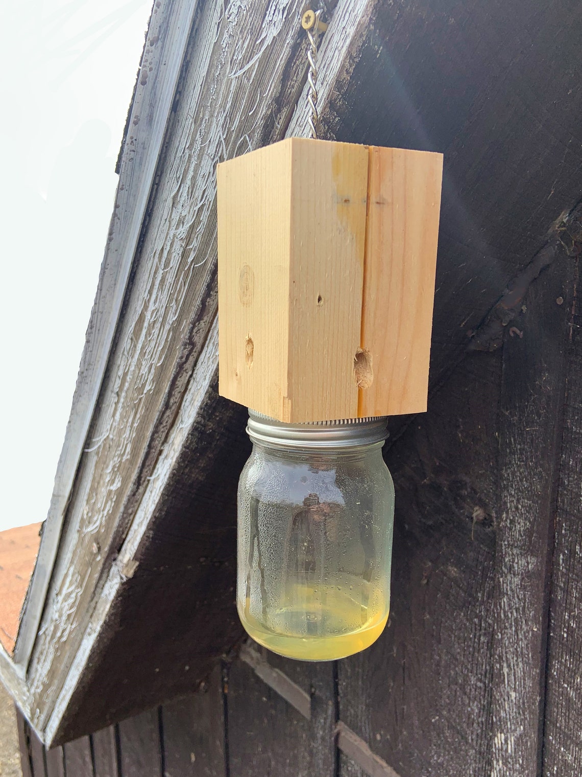 Carpenter Bee Traps Etsy