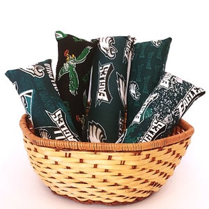 Philadelphia Eagles Themed Cat Kickers 8 inch made with or without catnip