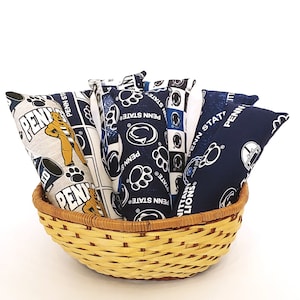 Penn State Themed Cat Kickers 8 inch made with or without catnip