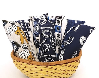 Penn State Themed Cat Kickers 8 inch made with or without catnip