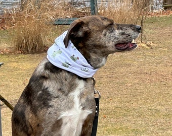 Chic Cactus print dog snood, hand sewn pet Infinity Scarf, easy pull on neck Gator, makes unique dog Gift